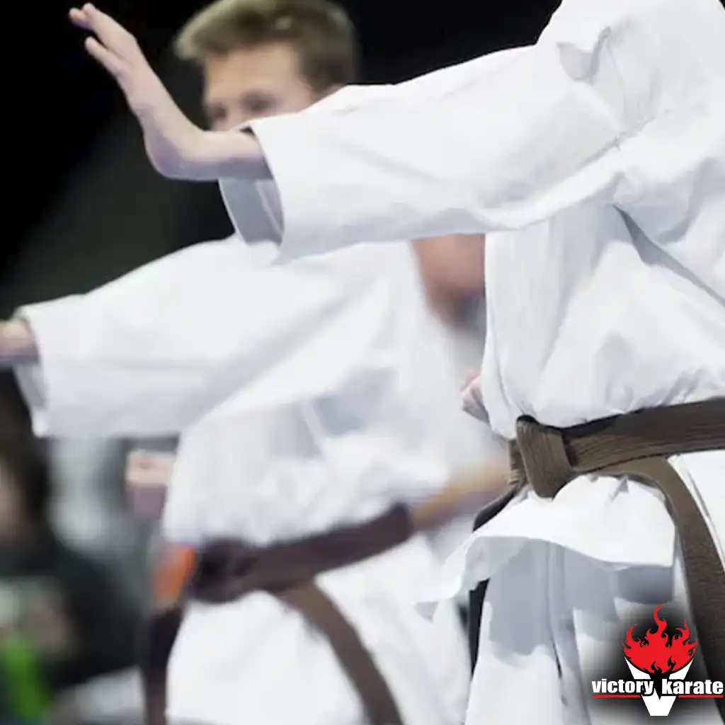 black belt first level learning