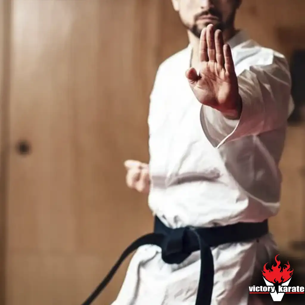 complete fighter training mma