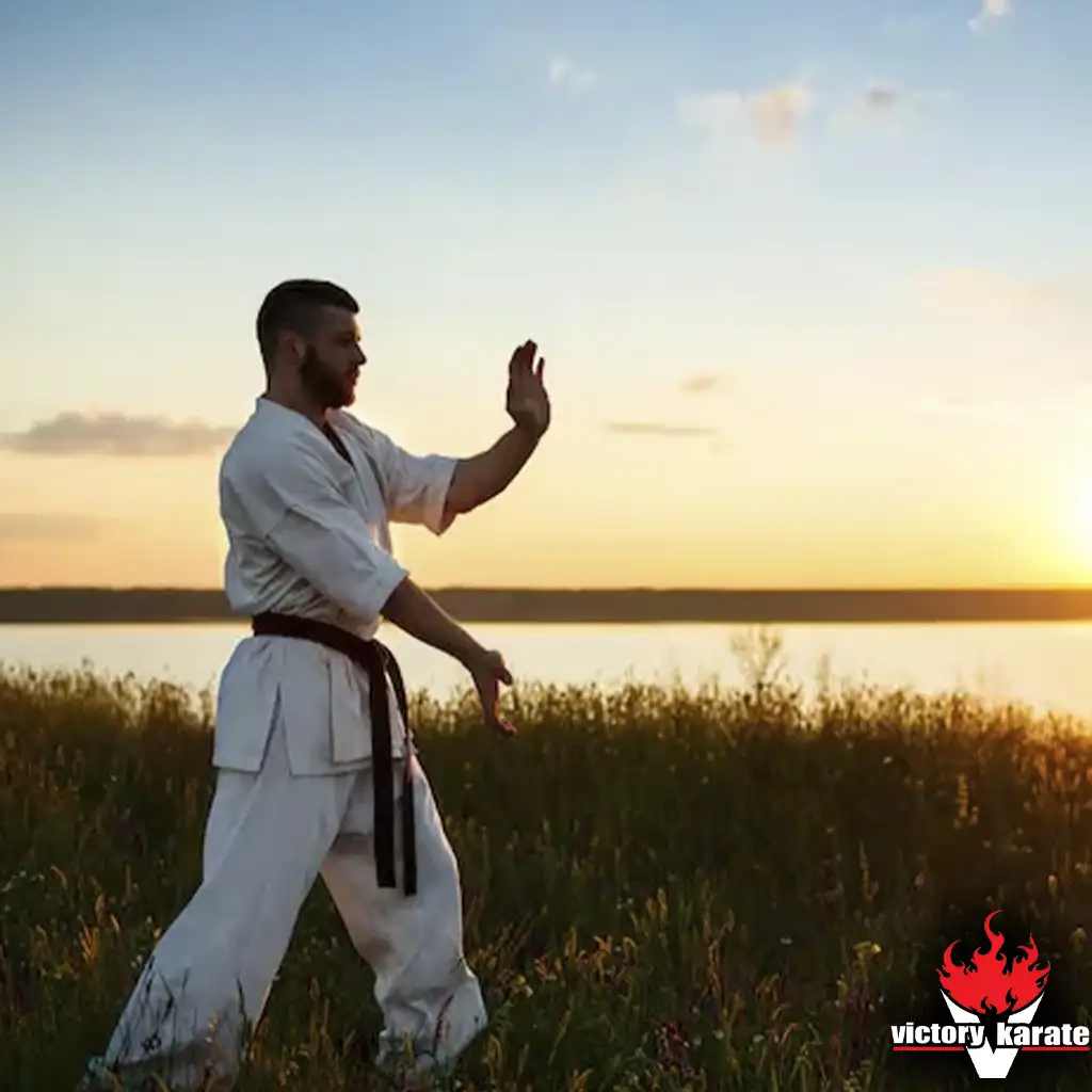 karate benefits despite limits