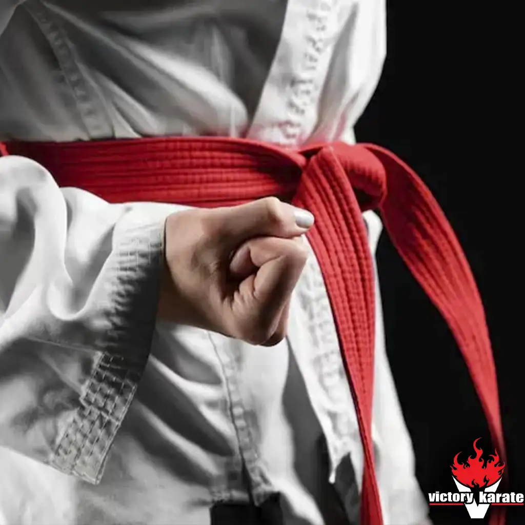 karate ground fighting weakness