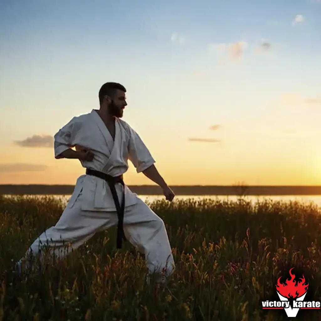 karate progress timeline