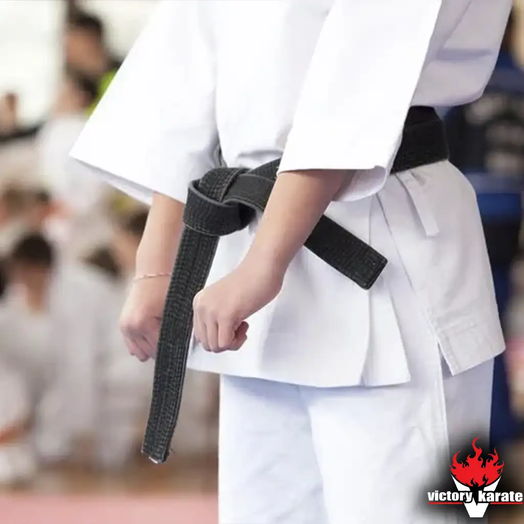 okinawan goju ryu power