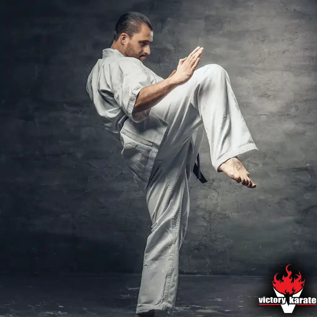 quality karate school training