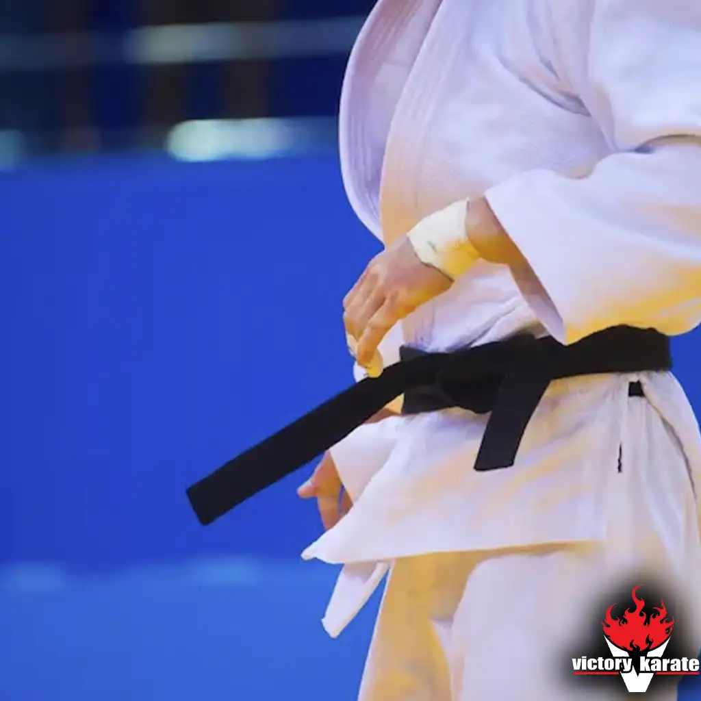 sport karate controlled contact